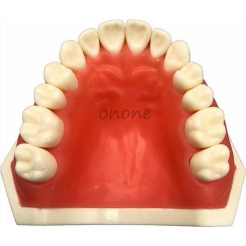 Dental Soft Gum Teeth Model Removable 28pc Teeth Dentist Dental Typodont Teeth Model With Removable Teeth Teaching Tooth Model