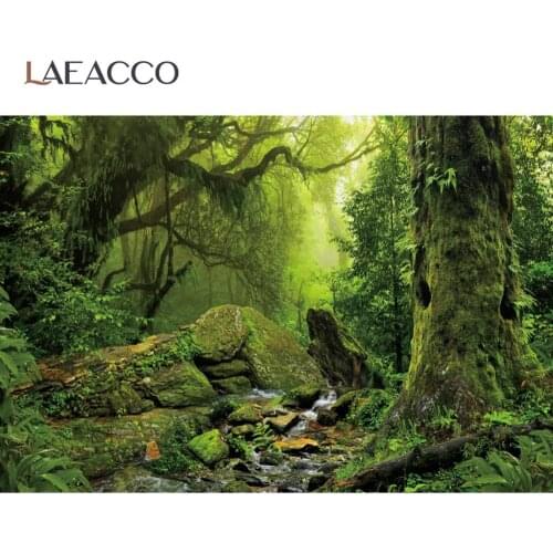 Laeacco Stone Cliff Tropical Rain Forest Old Tree Moss Shrub Scene Photographic Background Photo Backdrop Photocall Photo Studio