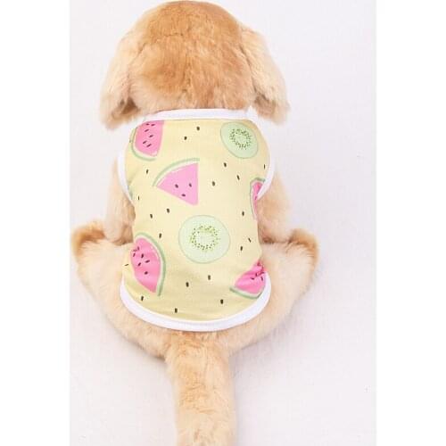 A Summer Cat Dog Vest for Small Dogs Cats Breathable Pet Clothes Puppy Cat Tshirt Yorkshire Tzu Shirts Mascota Pets Clothing