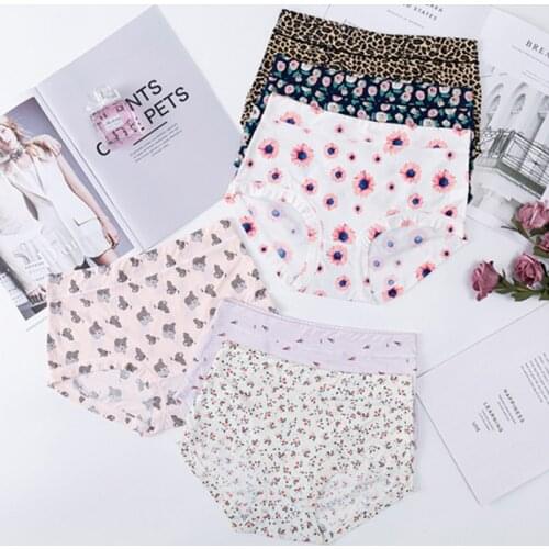 Print Women Panties Seamless Panties Seamless Breathable Sexy Lingerie Intimate Female Underwear Ladies Underwear Panties