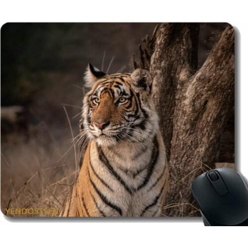 Mouse Pad,Tiger Predator Glance 203693 Mouse Pads