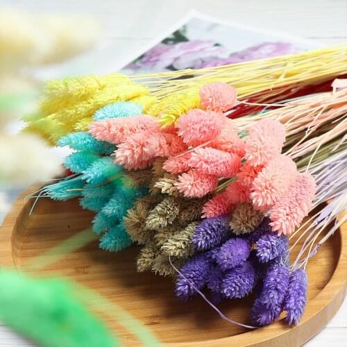 Музыкальные шкатулки Genenic China At AliExpress