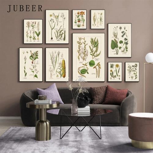 Plant Paintings on The Wall Flower Posters and Prints Vintage Wall Art Education Decorative Pictures for Classroom Painting
