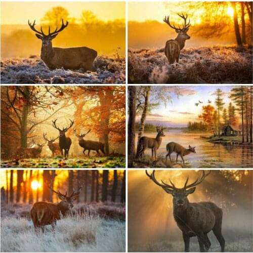 EverShine 5D DIY Diamond Painting Full Square Deer Cross Stitch Diamond Mosaic Animal Bead Embroidery Sunset Handmade Hobby Gift