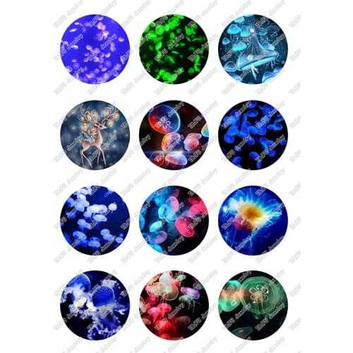 24pcs/lot Round Jellyfish Glass Cabochon 10mm 12mm 14mm 16mm 18mm 20mm 25mm for DIY Jewelry Making Findings & Components T123