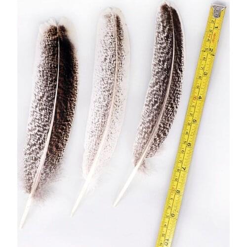 Wholesale Natural Eagle Feathers for Crafts Jewelry Making Discount Wholesale Decoration Carnival Wedding Feathers Plumes Plumas