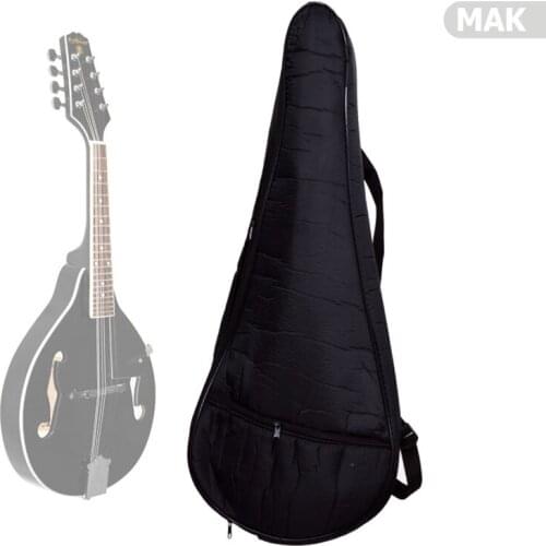 Mandolin Accessory Case MAX