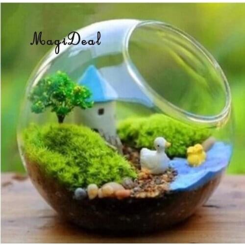 Glass Flower Hydroponic Vase Terrarium Container Fairy Garden Display Bottle Wedding Home Decor