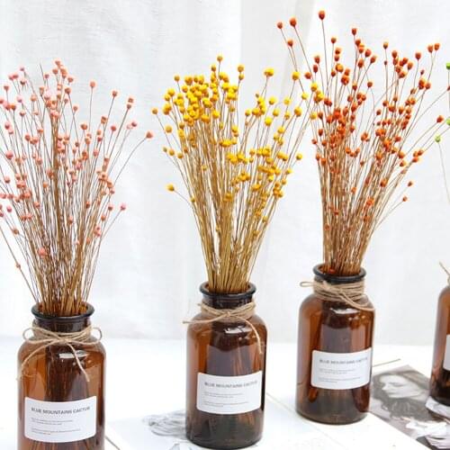 50pcs Real Happy Flower Small Natural Dried Flowers Bouquet Dry Flowers Press Mini Decorative Photography Photo Backdrop Decor