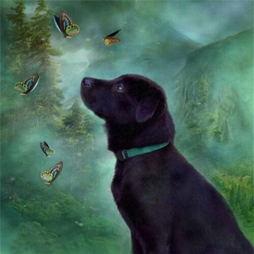 Rhinestone painting crystal Home Decor DIY Diamond painting cross stitch Black dog & butterfly pattern diamond embroidery 4851R