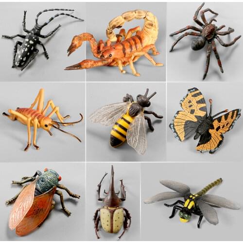 Insect Models Simulation Stag Beetle Spider Honeybee Lady beetle Mantis Butterfly PVC Animal Models Decoration Figurine toys