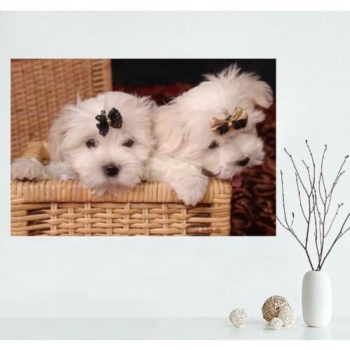 Nice Custom Animal 02 Beautiful Dog Canvas Poster Print painting Art Wall Silk Poster cloth print Fabric Poster