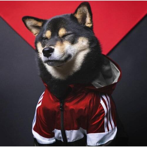 New Pet Dogs Clothes Raincoat for Dogs Clothing French Bulldog Akita Clothes Pugs Dogs Hoodies Dog Windbreaker