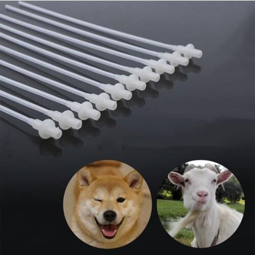 50pcs Canine Dog Goat Sheep Rabbit Bird AI Feeding Puppy Feed Artificial Insemination