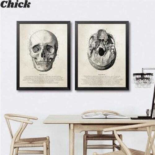 Human Anatomy Skull Posters And Prints Science Illustration Wall Art Canvas Painting Medical Student Gift Doctor Office Decor