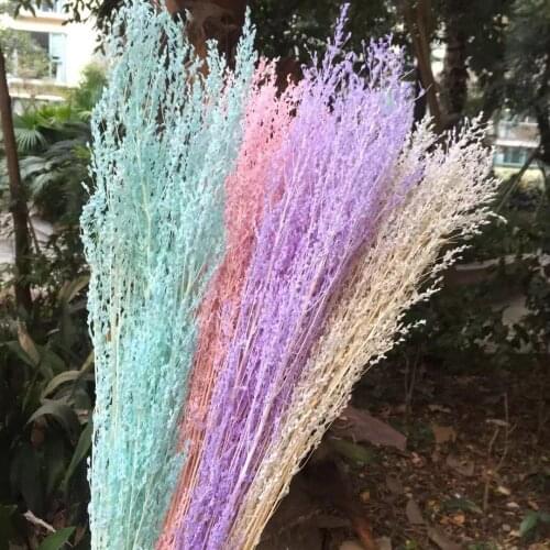 30g/35-40cm,Natural Dried White grass flowers Bouquet,Real Display arrange flowers for Wedding Home Party Decoration accessories