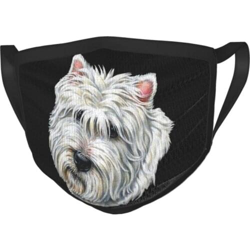 Аксессуары для одежды Doloise China At AliExpress