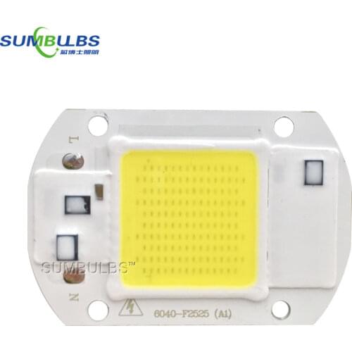 5PCS/lot Smart IC LED Matrix For Projectors 20W 30W 50W 110V 220V DIY Flood Light COB LED Diode Spotlight Outdoor Chip Lamp Bulb