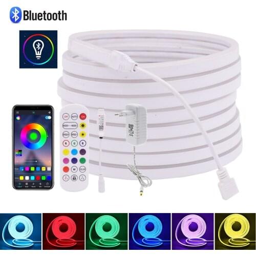 Bluetooth RGB LED Strip Light SMD 5050 Flexible Neon Ribbon Built-in Mic DC12V LED Light Neon Sign Remote Control Diode Tape