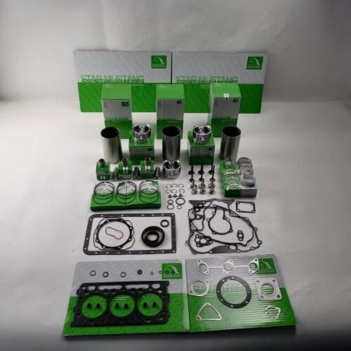 Kubota D902 Engine Piston 1J091-21110 Overhaul Kit (For One Engine)