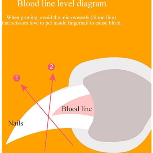 Pet Nail Trimmers & Clippers with LED Light for Cats Dogs Breeds Claw Care