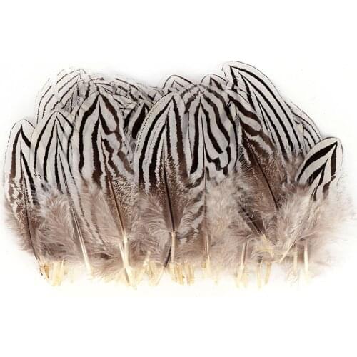 100Pcs Wholesale Plume Natural White Black Feathers Crafts DIY Wedding Pheasant Feather Jewelry Making Party Home Decoration