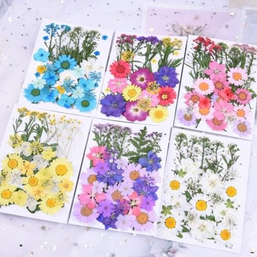 DIY Dried Flowers Resin Mold Fillings UV Epoxy Flower For Nail Art Pressed Flowers Home Decor Handicraft
