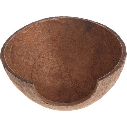 Drop Ship Reptile Hide Habitat Natural Coconut Shell Lizard Spider Small Animal Cave House