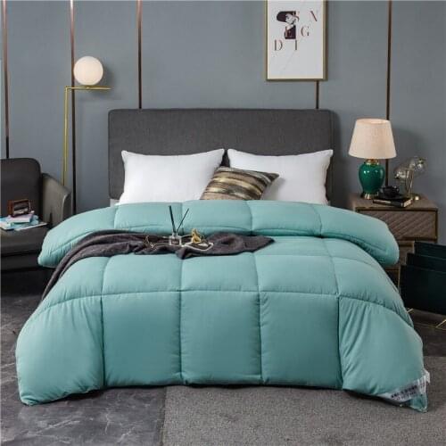 4 Seasons Down Quilt Duvet Multiple Sizes Quilt Cheap Comfortable Blanket 4 Colors Choose Cotton Cover Warm Thicken Comforter