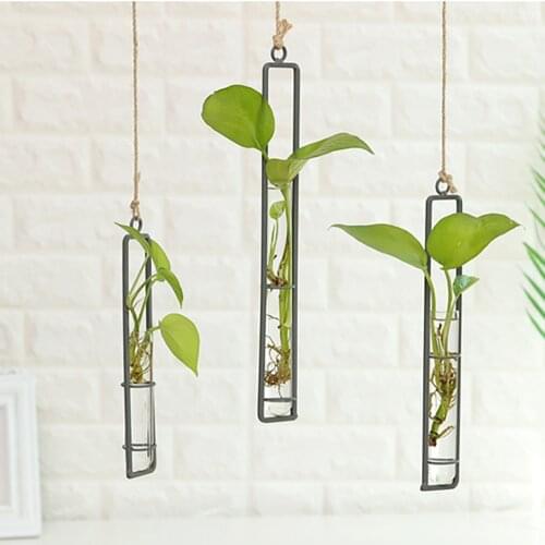 Plant Wall Hanging Flower Vase Iron Glass Transparent For Hydroponics DIY Plant Container Hanging Decoration