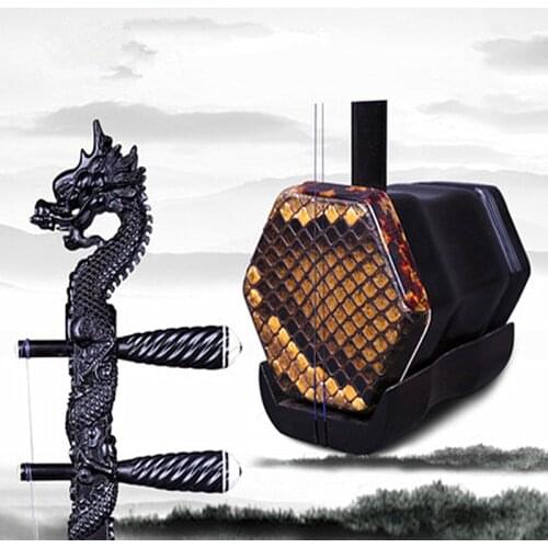 Chinese Erhu Professiona Folk String Instrument Huqin Strik Muziek ebony Dragon Head China Two stings Violin Musical Instrument
