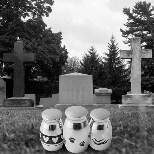 Mini Stainless Steel Paw Heart Cremation Urn Dog Pet Cinerary Funeral Casket Pet Memorials Useful