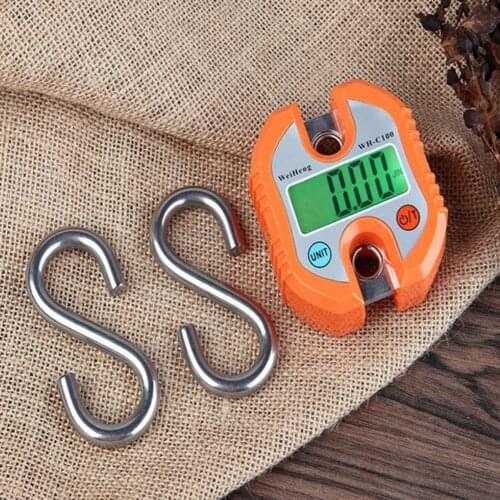 C100 150kg Portable Digital Electronic Fishing Hanging Weighing Scale Balance