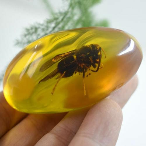 Chinese Beautiful Amber Animal Bee Fossil Insects Manual Polishing Exquisite Animal Specimens