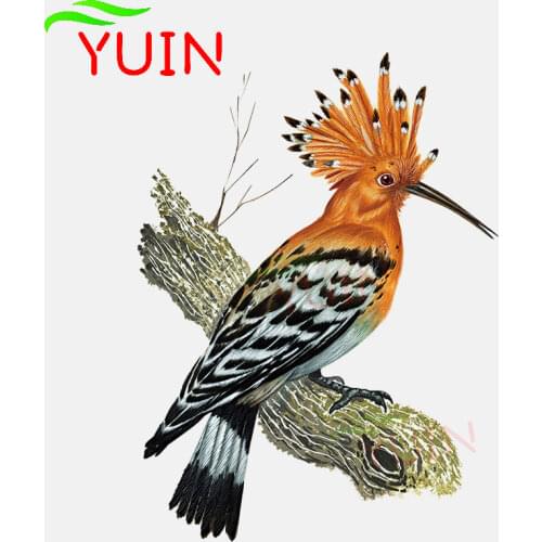 Hoopoe Yellow-brown Toucan Car Sticker Animal Stickers Auto Accessories Fashion PVC Bumper Decorative Waterproof Decal 17*12cm