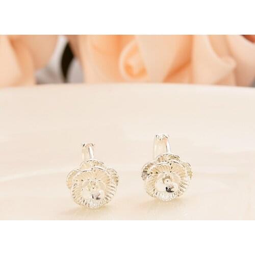 Bangrui Women's Silver Earrings