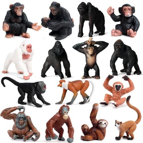 Wildlife Forest Animal PVC Orangutan Monkey Chimpanzee Series Zoo Model Collectible Doll Figure Collection For Childrens Gift