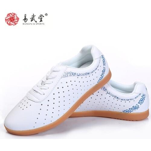 Yiwutang Martial Arts Kung Fu Leather Shoes Tai chi Taolu holes Shoes Wushu Breathable Shoes Rubber Soles for Men Women Summer