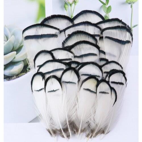 20/50/100Pcs White Plume Pheasant FeatherS 8-13cm DIY Jewelry Accessory Pheasant Feathers for Crafts Fly-tying Material