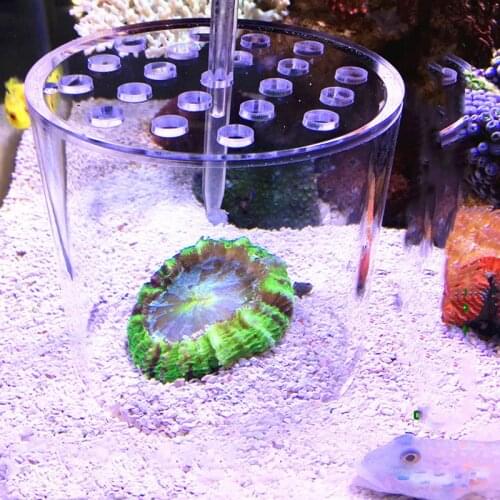 Aquarium Arcylic Coral Feeder Tube Liquid Fertilizer Adding Tools for Reef Fresh Water Fish Tank Coral Feeding Hood