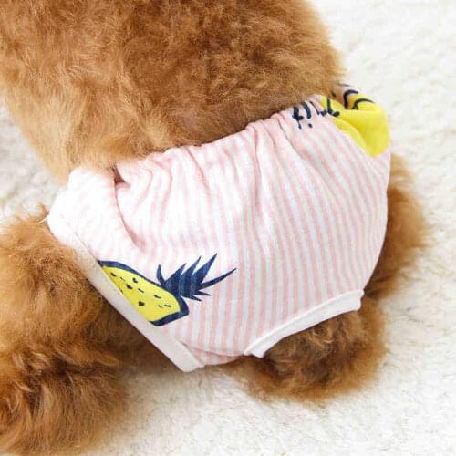 Pet bitch dog aunt physiological pants female teddy menstruation sanitary napkin safety small anti-harassment cotton