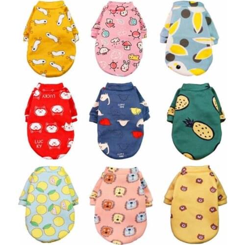 New Cartoon Dog Clothes Plush Two Legged Sweater Autumn Winter Pullover Pet Small Dog Cat Clothes Cute Printed Chihuahua Teddy