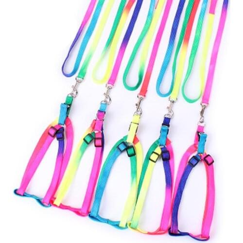 Adjustable Pet Cat Puppy Dogs Leash Harness Nylon Colorful Puppy Lead Leashes For Small And Large Dogs Walk Dog Leash Wholesale