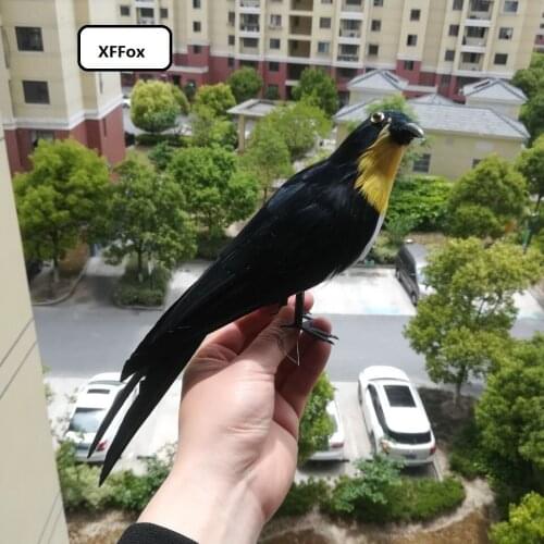Lifelike Swallow bird model polyethylene&furs simulation black bird doll gift about 30cm xf0457