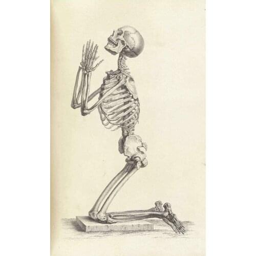 Skeleton on its Knees Praying Art Film Print Silk Poster Home Wall Decor 24x36inch