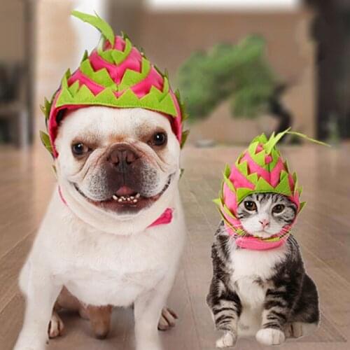 Halloween Pet Dragon Fruit Hat Costume Puppy Dog Cats Party Headwear Accessory Deco For Dogs Cats B88