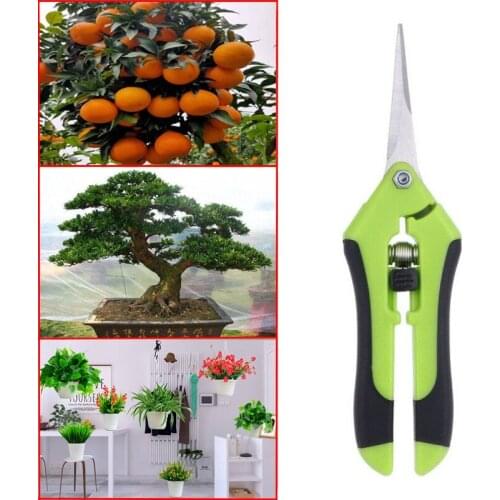 Mini Straight Elbow Head Bonsai Shears Secateurs Garden Tools Pruning Tool Metal Scissor For Fruit Picking Weed Household Potted