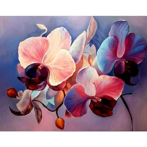 GATYZTORY Oil Painting By Numbers Flower 60x75cm DIY Paint By Numbers For Adult Frameless Canvas Painting Unique Gift