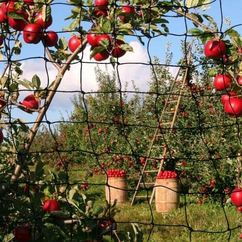 2 Inch Polyethylene Anti-Bird Net Sturdy Nylon Square Mesh Poultry Net Breeding Net Heavy Duty Bird Netting For Garden Supplies