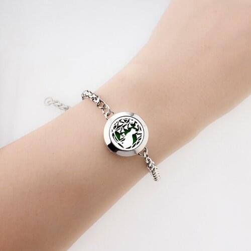 Twist Screw Adjustable Stainless Steel Chain Diffuser Bracelet Perfume Essential Oil Aroma 20mmLocket Free 10pad Kids Women Gift